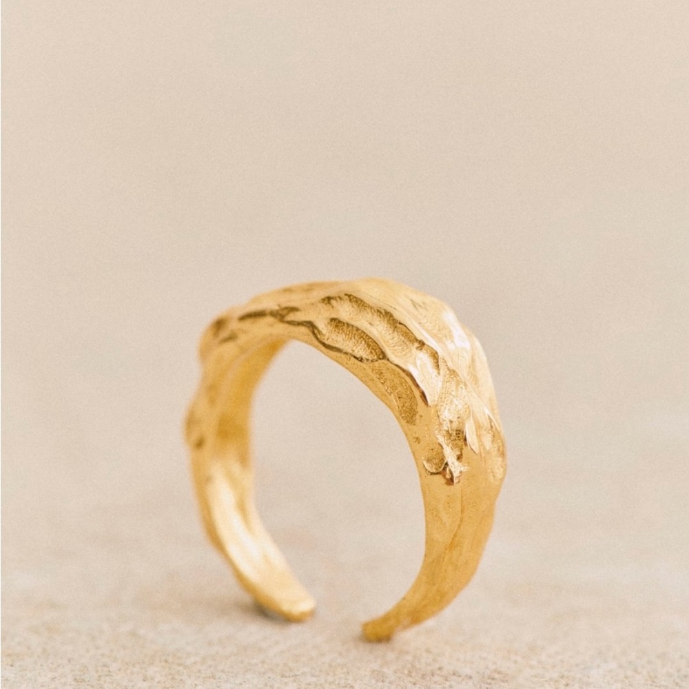 NWOT Sezane ring